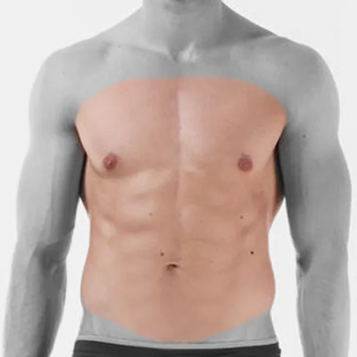 Man's chest and abdomen highlighted for laser hair removal
